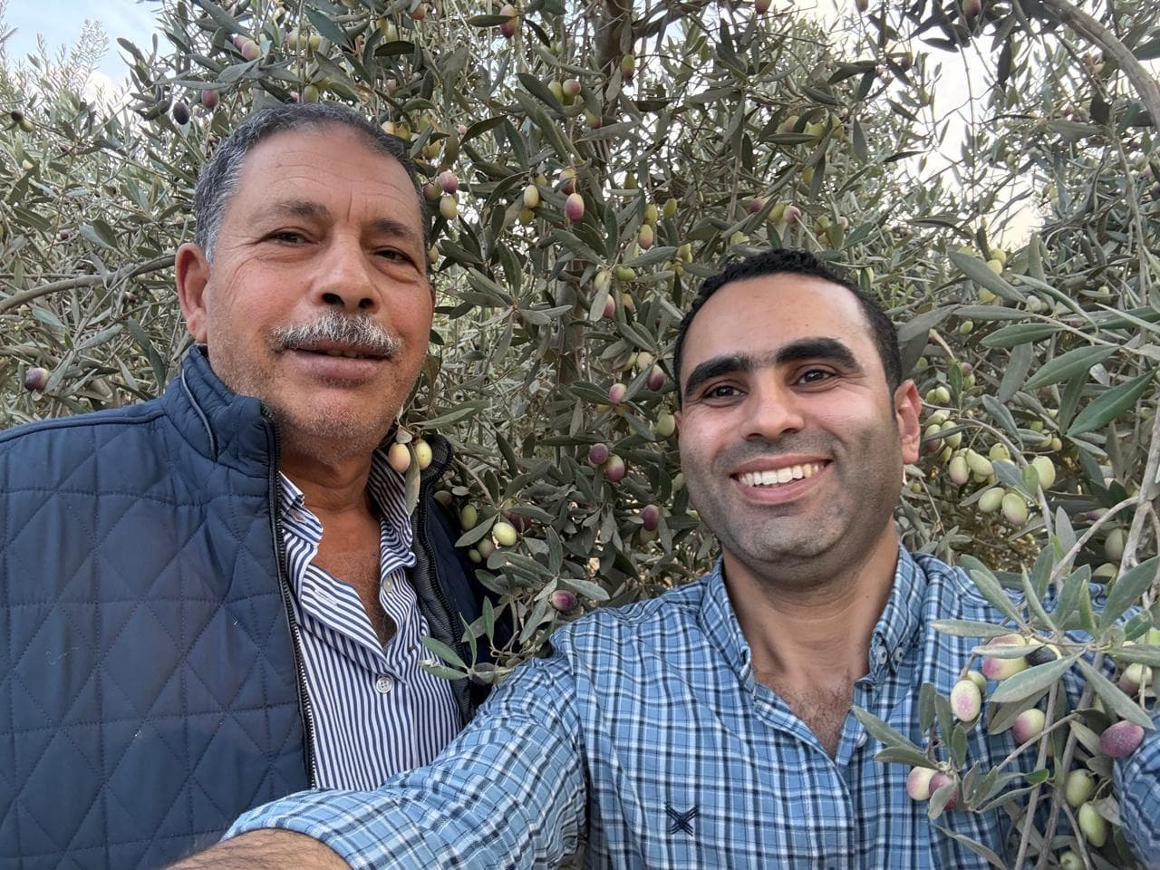 Eng. Magdy Sweed and Dr. Hamdy El-Sharkawy in the Sweedko olive farm