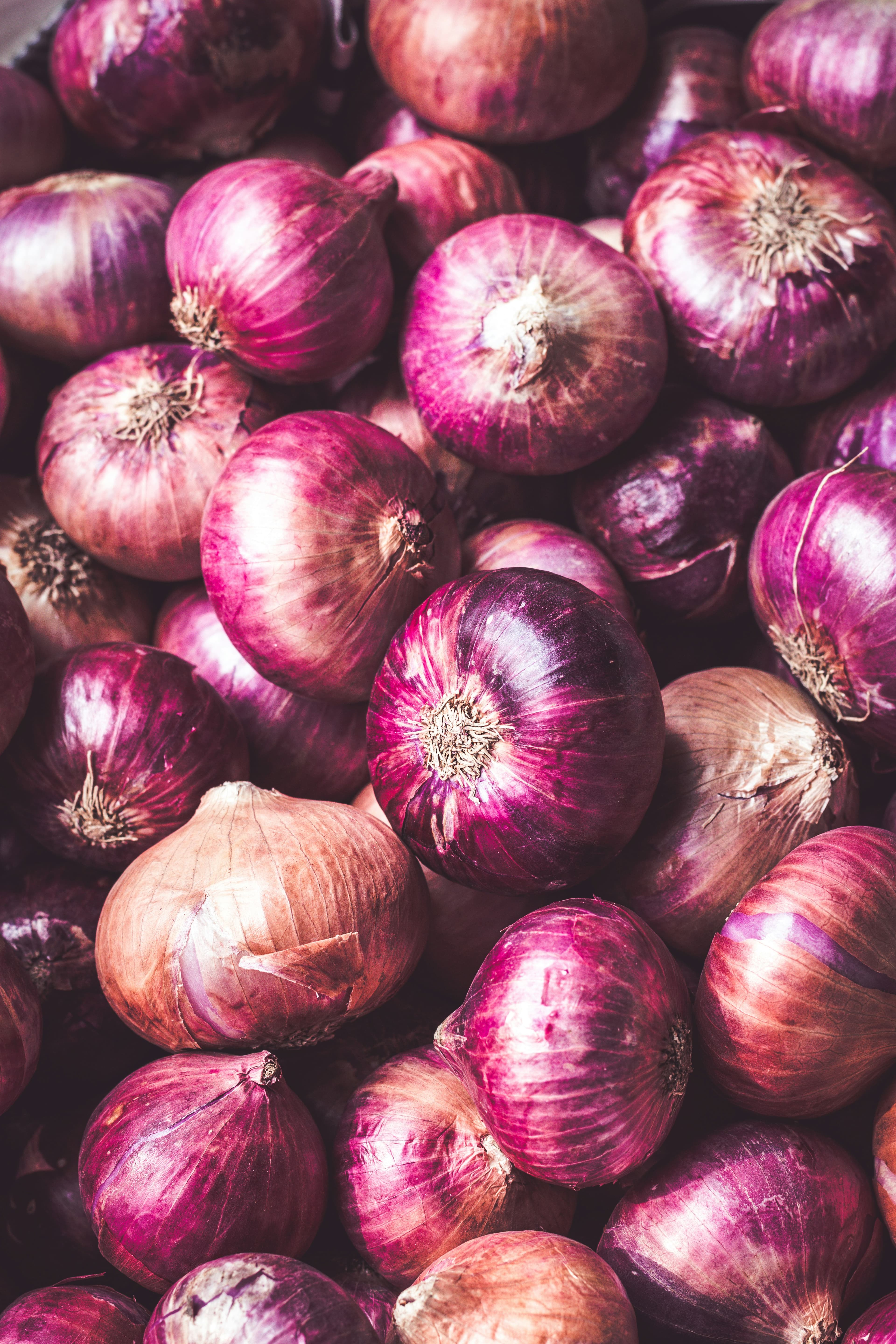 Pile of glossy deep-red Egyptian onions